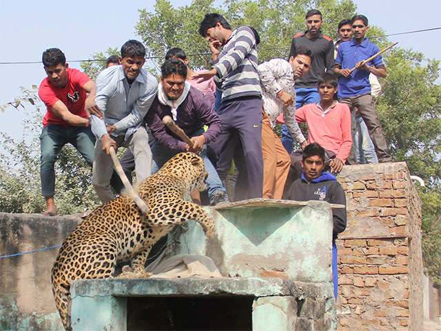 Attack on farmers