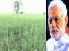 I want to thank our farmers, sowing has increased this year: PM Modi