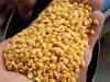 Pulses import at 27.48 lakh tonnes in April-October