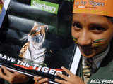 Save Our Tigers campaign gives India Inc's CSR drive a twist