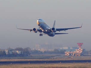 No need to stand in queue to stamp your hand baggage from now on