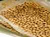 Soyabean prices crash to Rs 400 per quintal