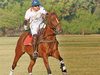 How a Gujarati businessman is trying to take Polo to the masses