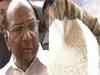 Fall in sugar prices; Pawar expects further dip