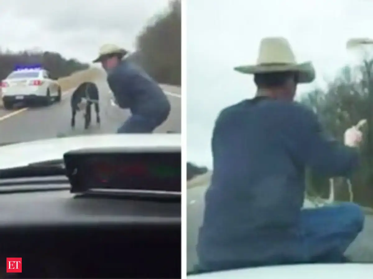 Watch: Man ropes calf from hood of cop car - The Economic Times Video ...