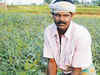 Hope a failed harvest for farmers as cash runs dry
