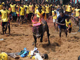 This 2,000-year-old sport is making news in India. Here's why