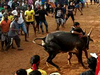 Protests force CM to leave without inaugurating jallikattu