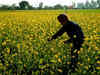 Cabinet gives farmers additional 2 months to repay crop loans
