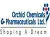 Orchid Pharma promoters raise stake in company: Sources