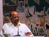 If Sena doesn't quit, it shows its lust for power: Sharad Pawar