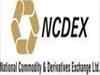 MCX, NCDEX revise position limit for crude palm oil futures