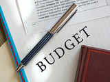 Budget sent positive signals to investors: Experts 1 80:Image