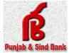 Punjab & Sind Bank seeks Rs 500 crore via IPO