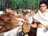 We produce over 5,000 litres of cow urine every day: Acharya Balkrishna, CEO, Patanjali