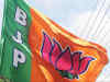Split in Muslim votes may work as advantage BJP