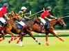 On the grape vine: When this polo pundit slowed his team down