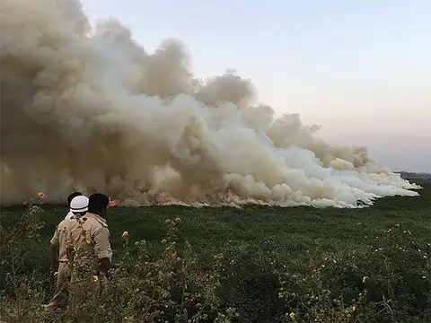 Panic among the locals