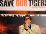 Big B for 'Save Our Tigers' campaign