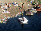 Yamuna pollution: Supreme Court seeks report on sewage treatment plants