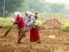 Timely policy measures, monitoring helped in boosting farm output