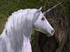 10 new unicorns may fly out of Telangana soon