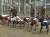 J&K: Over 4000 candidates participate in recruitment drive organised by police