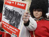 Stop using bearskin!