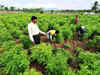 Protect tobacco farmers' interest in GST laws: FAIFA