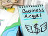 Angel investors need to wait longer for exit rounds: Report