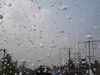 A 'snowfall' everyone wants to avoid in Bengaluru