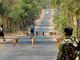 CRPF jawans patrolling at Dantewada