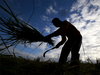 Tell us plan to tackle farmer suicides: SC to Centre