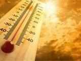 'India's temperature rose by 0.60 degree over last 110 years'