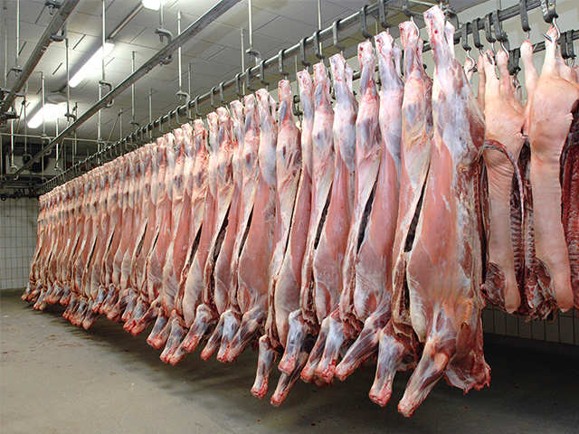 Implementation of ban on illegal slaughterhouses