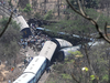 Mahakaushal Express derails, 52 passengers injured