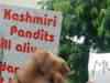 Kashmiri Pandits lost their regional identity after PDP-BJP alliance: National Conference leader