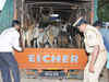 Measures to stop cattle smuggling to be placed: Govt to Supreme Court