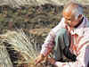Gujarat polls: Congress promises UP like loan waiver for farmers