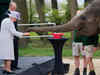 Watch: Britain's Queen Elizabeth feeds elephants at zoo