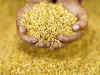 Record global harvest of cereals, India too heads for a new high