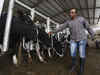 We will ban cow slaughter, beef consumption in Goa in 2 years: Vishwa Hindu Parishad
