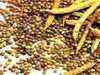 Agri commodities check: Guar seed price up 3%