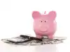 Voluntary provident fund