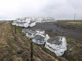 Protected hay covered in ash