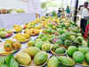 India to export mangoes to Australia for the first time