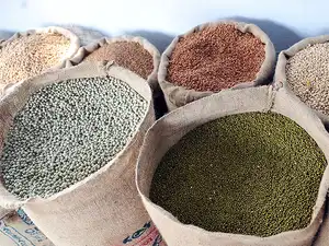 The central government's annual food subsidy bill is over Rs 1 lakh crore. The central government's annual food subsidy bill is over Rs 1 lakh crore.