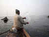 West Bengal government to introduce eco fish tourism