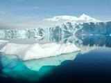 Networks of lakes, streams found on Antarctica's surface: Study