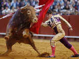 Bullfight in Seville